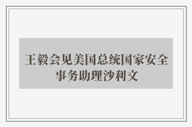 王毅会见美国总统国家安全事务助理沙利文