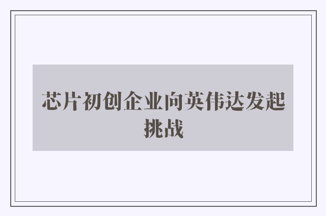 芯片初创企业向英伟达发起挑战