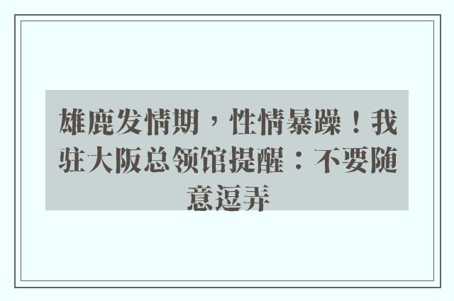 雄鹿发情期，性情暴躁！我驻大阪总领馆提醒：不要随意逗弄