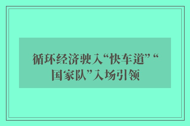 循环经济驶入“快车道” “国家队”入场引领