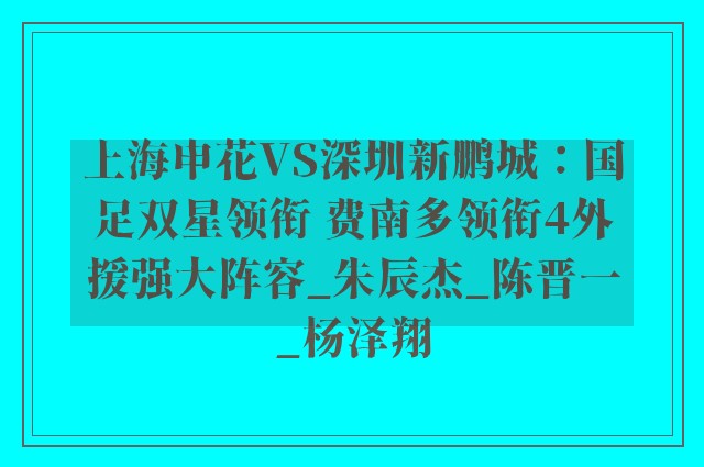 上海申花VS深圳新鹏城：国足双星领衔 费南多领衔4外援强大阵容_朱辰杰_陈晋一_杨泽翔