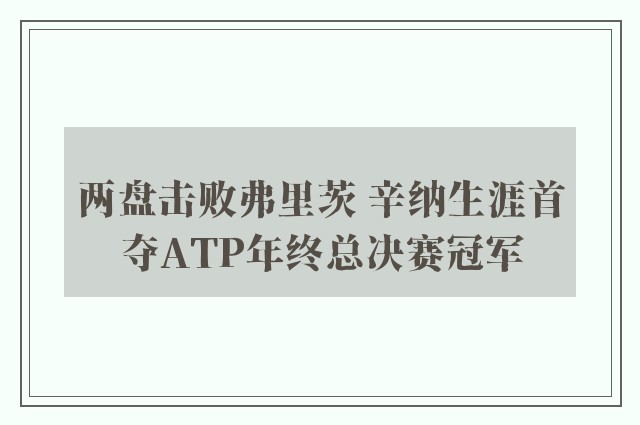 两盘击败弗里茨 辛纳生涯首夺ATP年终总决赛冠军