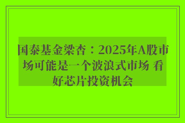 国泰基金梁杏：2025年A股市场可能是一个波浪式市场 看好芯片投资机会